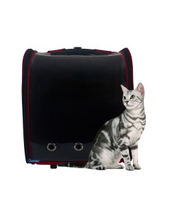 Kırmızı Kedi Taşıma Çantası Valizi Çekçekli Tekerlekli Şeffaf Büyük Boy Uçak için Uygun Hava Alan Sı